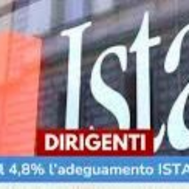 Istat Dirigenti