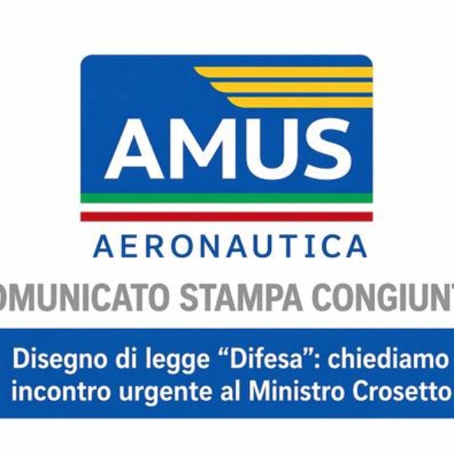 DDL Difesa Crosetto